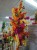 9ac4c52c-c4ee-4145-b396-18e908937ffc.jpg