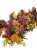 39b1b1a4-aff0-45b8-af9f-86b7209dd81a_removalai_preview (1).png