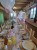 ce19d49b-b137-4bb3-8ee3-341abd701f53.jpg