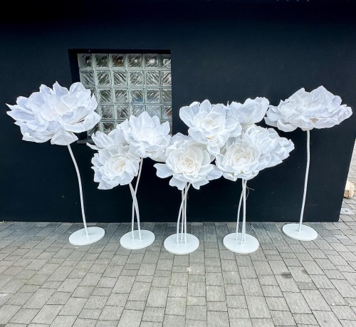 515720197_24031716356481189_7899300848972451701_n