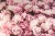 miroslava-254047-unsplash-ezgif.com-webp-to-jpg-converter