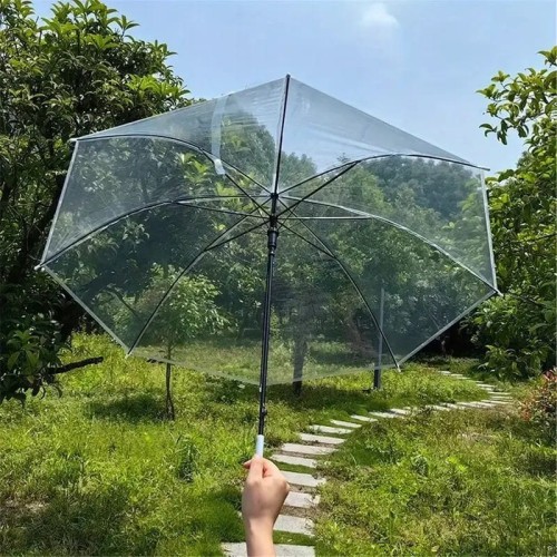 parasol1-ezgif.com-webp-to-jpg-converter (1)